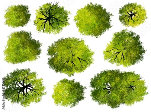 Collection of abstract watercolor green tree top view isolated on white background for landscape plan and architecture layout drawing, elements for environment and garden, green grass illustration 