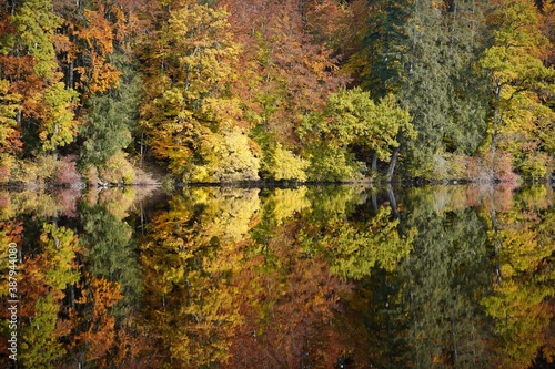 Autumnal Reflections in the Lake