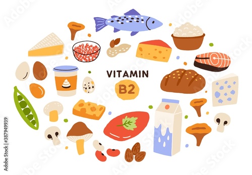 Collection of vitamin B2 sources. Food containing riboflavin. Cottage cheese, mushrooms, fish, dairy products, nuts. Dietetic products, organic nutrition. Flat vector cartoon illustration