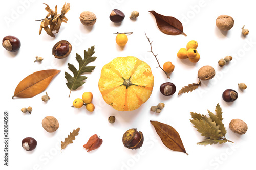 Autumn creative composition made of pumpkins, dried leaves, chestnuts and acorns on white background