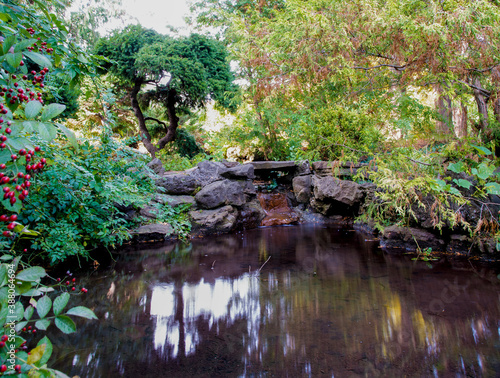A small pond beside a footpath is surrounded by lush green and colourful nature on a sunny day in James Gardens in Toronto (Etobicoke), Ontario.