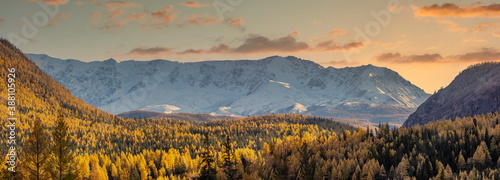 Scenic panoramic aerial view of snowy mountain peaks of North Chuyskiy ridge. Golden trees in the foreground. Beautiful cloudy sunset sky as a backdrop. Golden hour. Altai mountains, Siberia, Russia