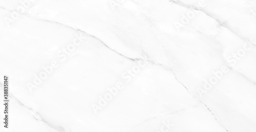 statuario marble design with grey vines, White background with natural stone marble.
