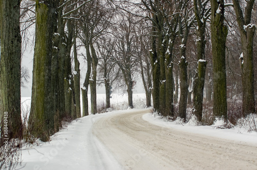 Kręta zaśnieżona droga w zimowej scenerii