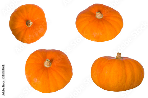 Abstrackt set of Pumpkins isolated on white background. Autumn harvest festive, Thanksgiving day and Halloween concept.