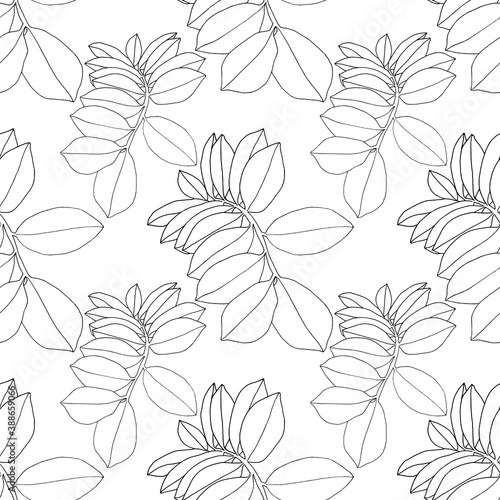 Seamless pattern line art branch with leaves on white. Art creative nature black background for coloring book, wrapping, textile, wallpaper, sticker