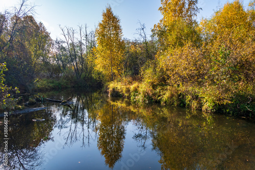 Autumn forest is reflected in the water of river