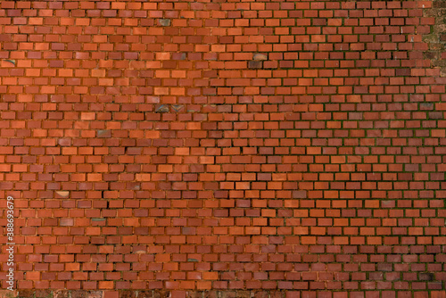 Old vintage red brick wall background, closeup photo