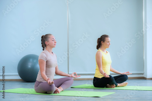 Two young caucasian women Yoga exercising lotus position pose wearing sportswear on green pad indoors, It is an exercise that makes the body strong. Feel relaxed and calm.