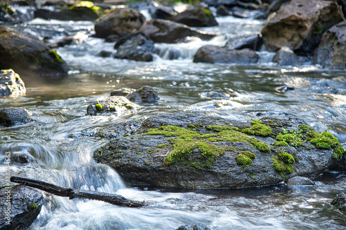 Flowing Creek