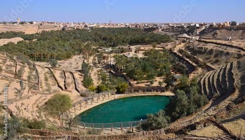 Oasis de Nefta con la ciudad de tozeur al fondo, Tunez