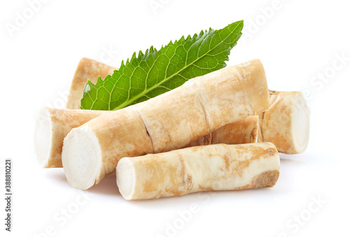 Horseradish root with leaf on white background