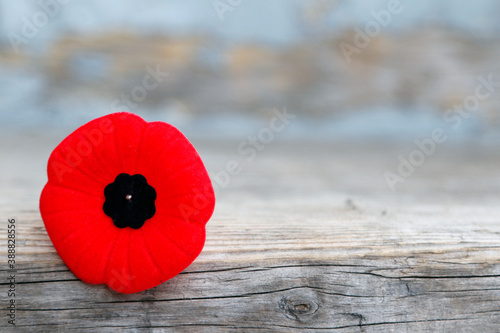 Le coquelicot pour le Jour Du Souvenir de La Première Guerre Mondiale