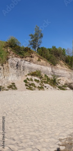 wysoka nadmorska wydma porośnięta zieloną roslinnością