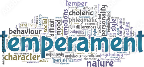 Temperament vector illustration word cloud isolated on a white background.