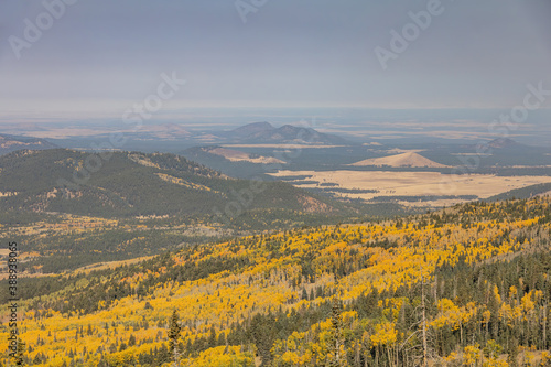 High angle view of the fall color around the famous Arizona Snowbowl