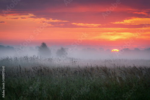 Sunrise over the meadow in the morning fog. Morning sunrise. Conditions of poor visibility. Natural landscape. Weather. Synoptic. Weather forecast