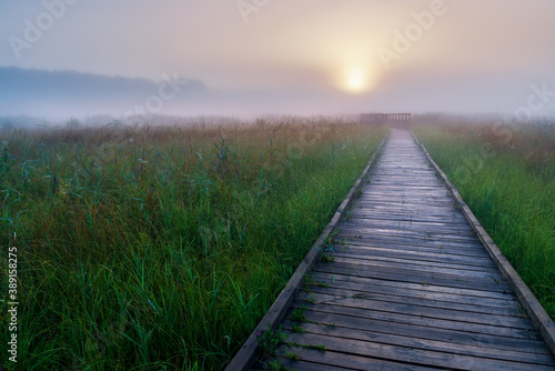 lookout towers of the Polesie national park on a foggy morning on the nature path of Chahary