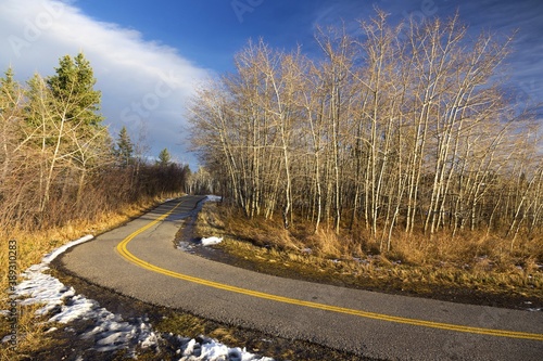 Cycling Path in Urban Park by Glenmore Reservoir in South Calgary, Alberta Canada on a Sunny Autumn Afternoon