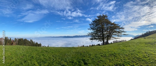 Panoramic landscape on Mountain with sea of mist, tree and cloudy blue sky