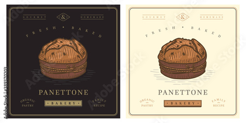Panettone sweet christmas cake vintage illustration