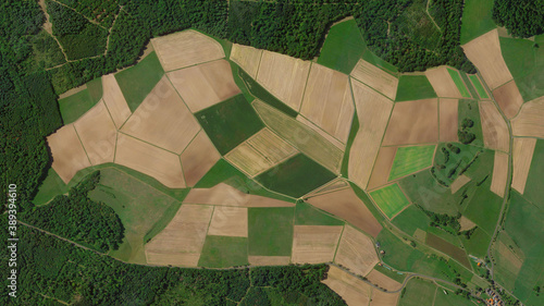 colorful fields and forest bird's eye view, cultivated fields looking down aerial view from above 