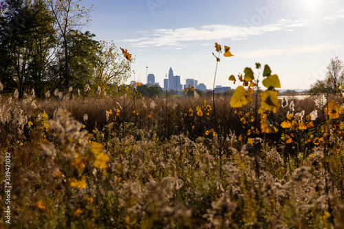 Golden meadow in nature preserve park with Cleveland cityscape and lake Erie in the background during fall / winter season. 