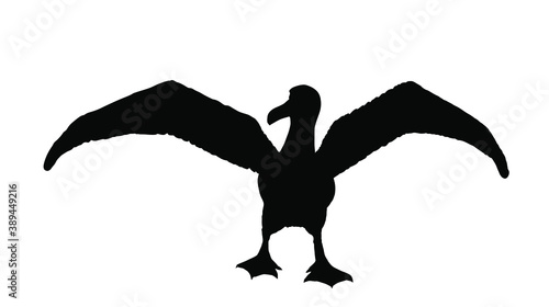 Albatross vector silhouette illustration isolated on white background. Spread wings seagull symbol. Marine big bird silhouette.