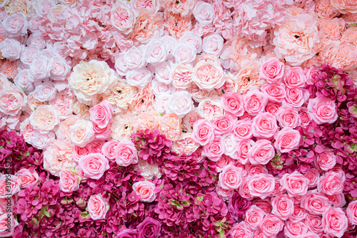 Backdrop of red and pink roses,Flowers wall background,Wedding decoration