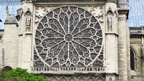 Rose at Notre Dame de Paris Cathedral