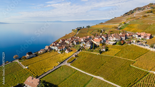 Legends of the fall in Lavaux, Switzerland.