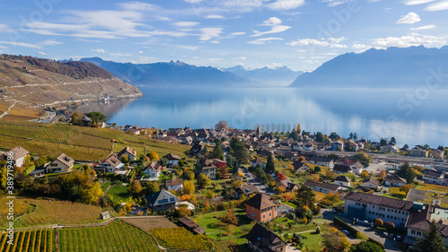 Legends of the fall in Lavaux, Switzerland.