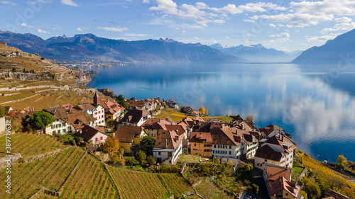 Legends of the fall in Lavaux, Switzerland.