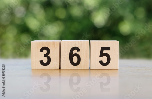 365 text written on wooden blocks. 365 New Days