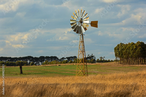 Sunlit windmill in a paddock in country Victoria, Australia.