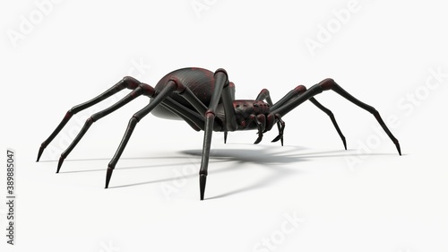 black spider with red skin details. suitable for horror, halloween, arachnid and insect themes. 3D illustration with white background.