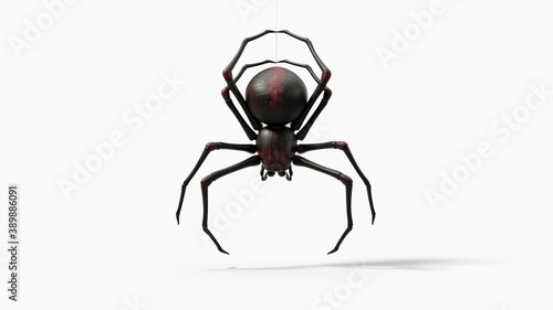 hanging black spider. with red skin details. suitable for horror, halloween, arachnid and insect themes. 3d illustration, front view