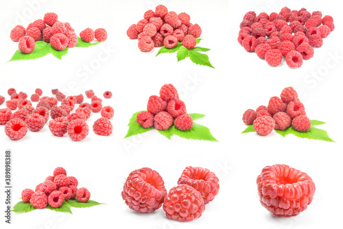 Collage of sweet raspberry on white