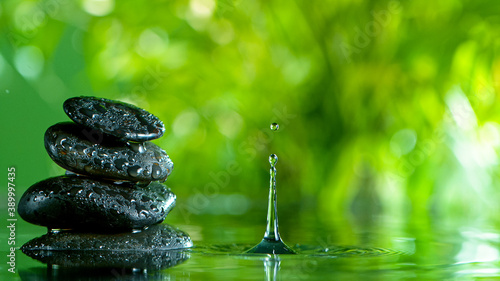 fresh green leaves with water drops over the water , relaxation with water ripple drops concept