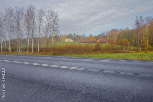 Autumn, foggy morning, birch forest by the road finland, scandinavian nature.