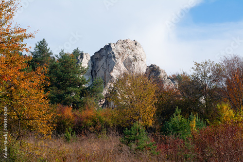 Jura Krakowsko-Częstochowska jesienią. Wapienna skała wśród drzew.