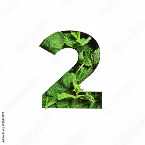 Green mint number two made of natural leafs and paper cut in shape of second numeral isolated on white. Leaves font