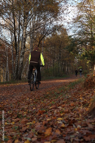 Jesienny park przy zachodzie słońca. Przyroda i natura