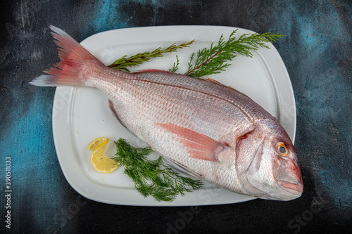 fish on a rustic wooden floor - Common dentex , Pink dentex, Dentex dentex, Dentex gibbosus