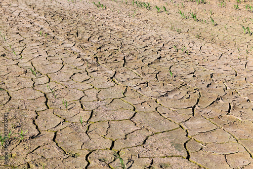 the drought-cracked soil