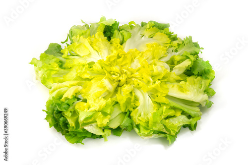 Escarole