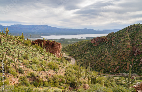 Overlook of the Road into Tonto National Monument