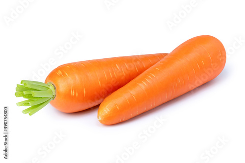 Fresh organic two carrots isolated on white background. 