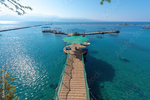 Eilat, Israel - Dolphin Reef is home to a colorful array of tropical fish, and, most significantly, a school of bottle-nose dolphins.