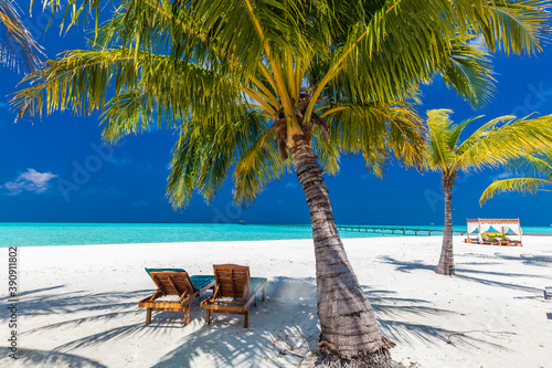 Tropical beach in Maldives with palm trees and vibrant lagoon